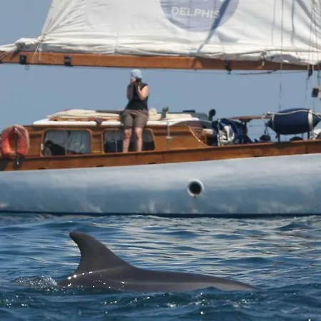 Botel Ischia Dolphin Project