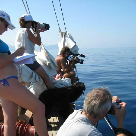 Ischia Dolphin Project 船上ホテル *